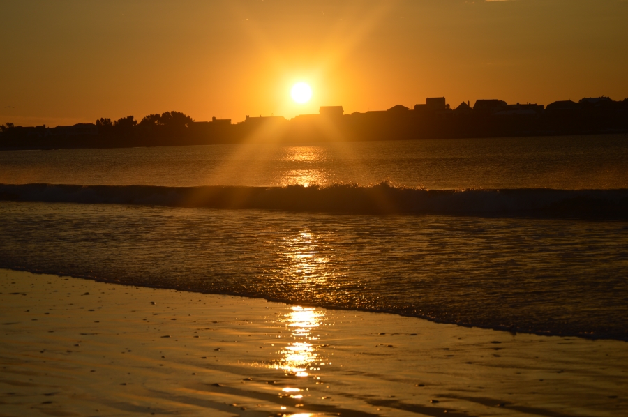 0 Bedroom Property for Sale in Steenbergs Cove Western Cape